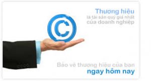 Dịch vụ đăng ký thương hiệu độc quyền tư vấn bảo hộ tại Việt Nam